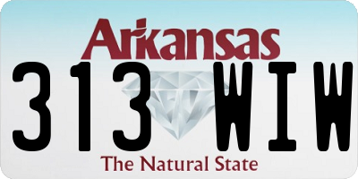 AR license plate 313WIW