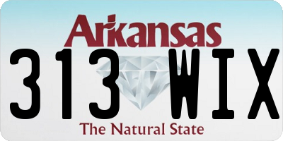 AR license plate 313WIX