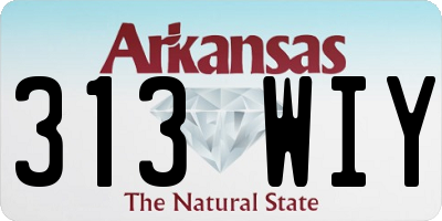 AR license plate 313WIY
