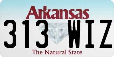 AR license plate 313WIZ