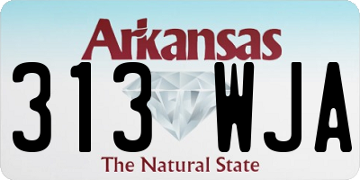 AR license plate 313WJA