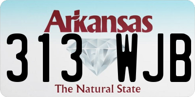 AR license plate 313WJB