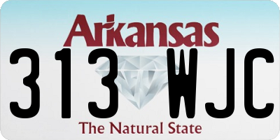AR license plate 313WJC