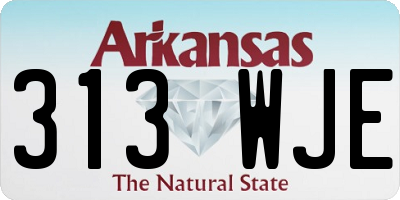 AR license plate 313WJE