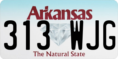 AR license plate 313WJG
