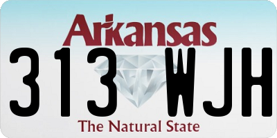 AR license plate 313WJH