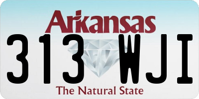 AR license plate 313WJI