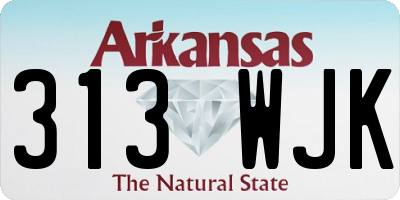 AR license plate 313WJK