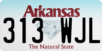 AR license plate 313WJL