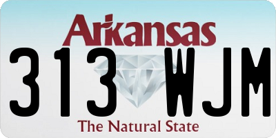 AR license plate 313WJM