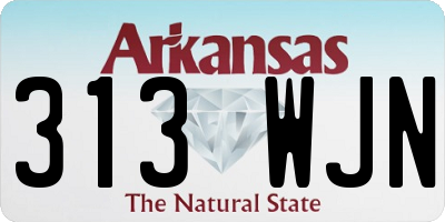 AR license plate 313WJN
