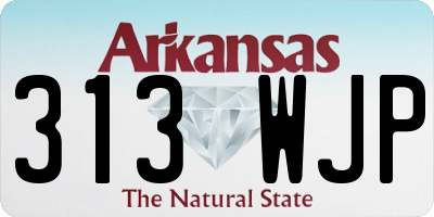 AR license plate 313WJP