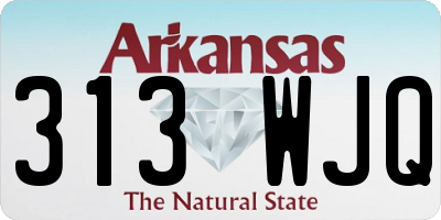 AR license plate 313WJQ