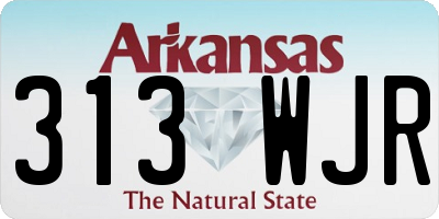 AR license plate 313WJR