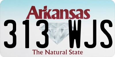 AR license plate 313WJS