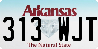AR license plate 313WJT