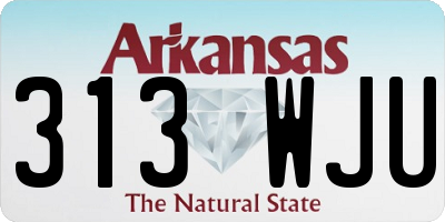 AR license plate 313WJU