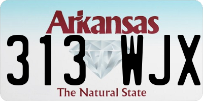 AR license plate 313WJX