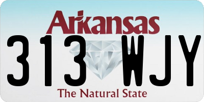 AR license plate 313WJY