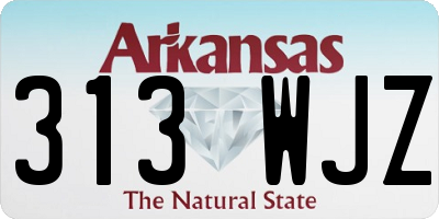 AR license plate 313WJZ
