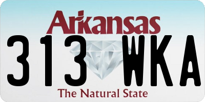 AR license plate 313WKA