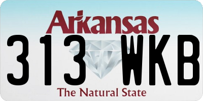 AR license plate 313WKB