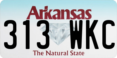 AR license plate 313WKC
