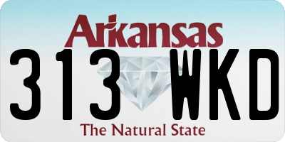 AR license plate 313WKD