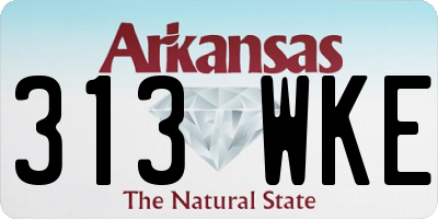AR license plate 313WKE