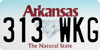 AR license plate 313WKG