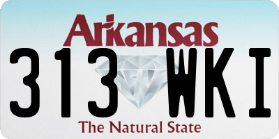 AR license plate 313WKI