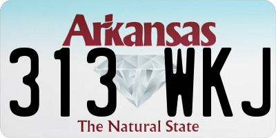 AR license plate 313WKJ