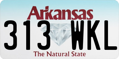 AR license plate 313WKL