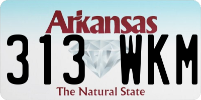 AR license plate 313WKM