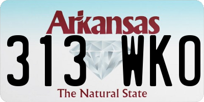 AR license plate 313WKO