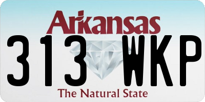 AR license plate 313WKP