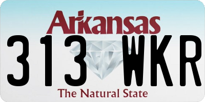 AR license plate 313WKR