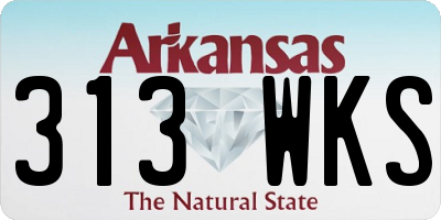 AR license plate 313WKS