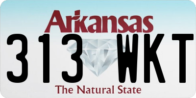 AR license plate 313WKT