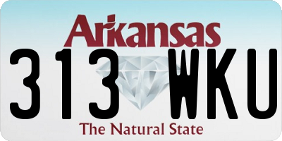 AR license plate 313WKU