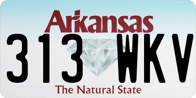 AR license plate 313WKV