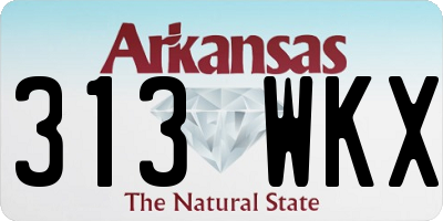 AR license plate 313WKX