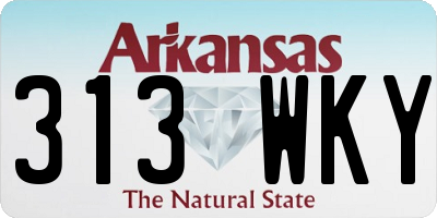 AR license plate 313WKY