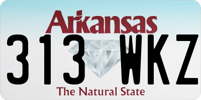 AR license plate 313WKZ