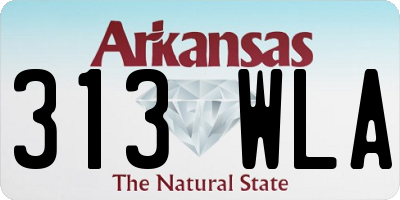 AR license plate 313WLA
