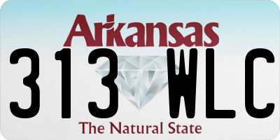 AR license plate 313WLC