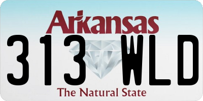 AR license plate 313WLD