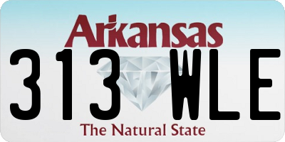 AR license plate 313WLE