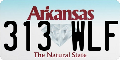 AR license plate 313WLF