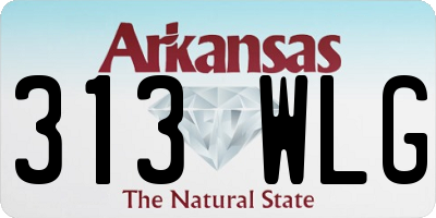 AR license plate 313WLG